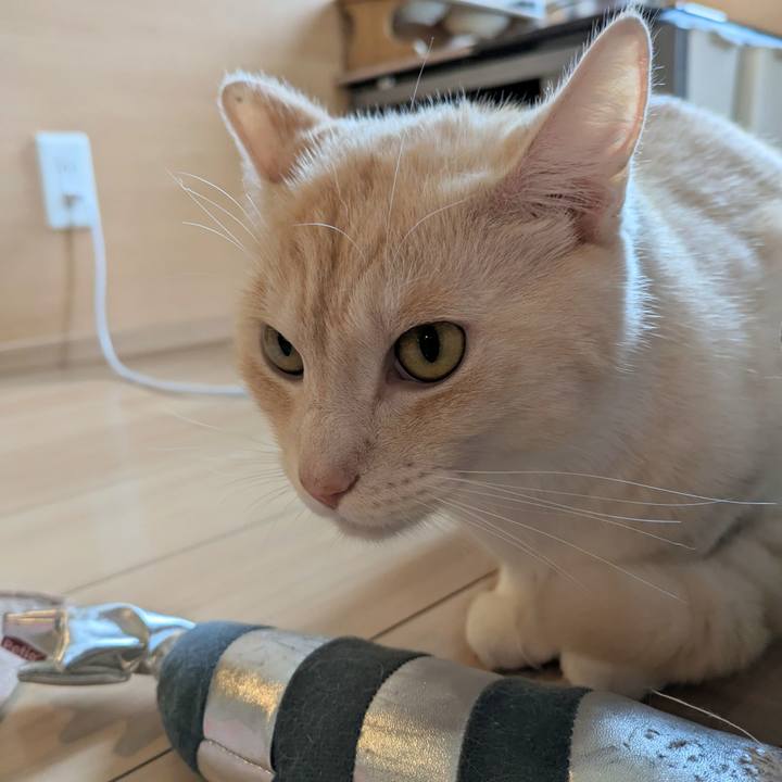 79329f1b fb63 422e a473 76914c1a39ba 1689722026013