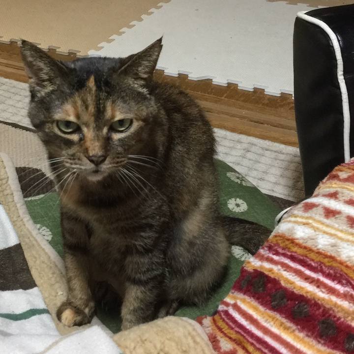 7932ac55 eb60 4116 9a81 4c98ec220721 1512901628219