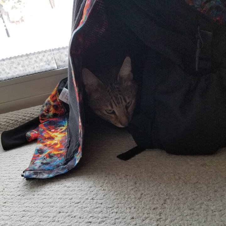 7932f3d5 ec83 4dc6 b65d d2d5052e74bd 1644669377946