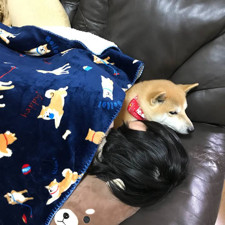 79331613 62a2 40d0 8f0f 126b12488078 1517114331546