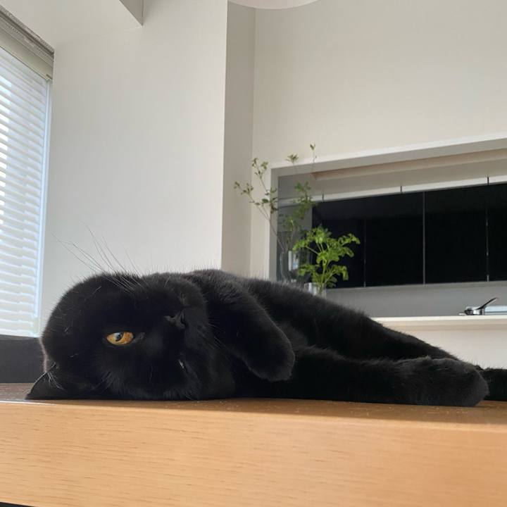 79333c19 96c7 4aff 82fc 4f1f1f3c87d4 1657790667175