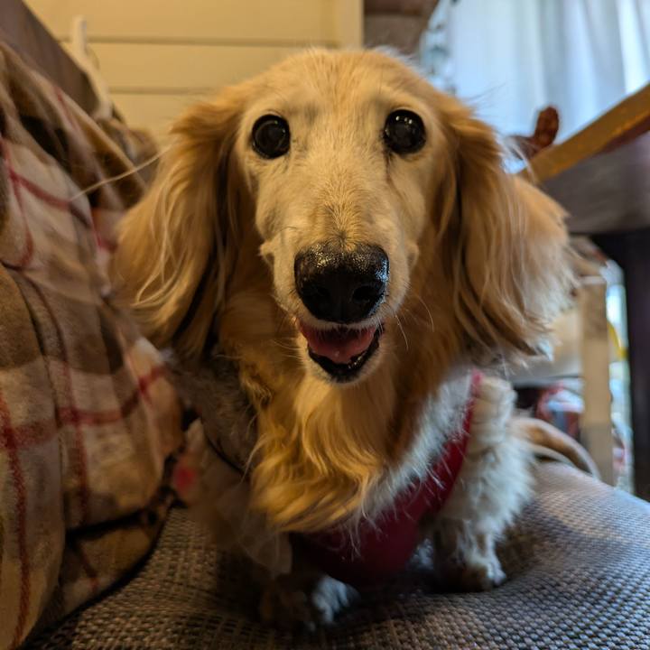 79334fc3 aa41 40fb b04d 646886d5a6f9 1771686317437