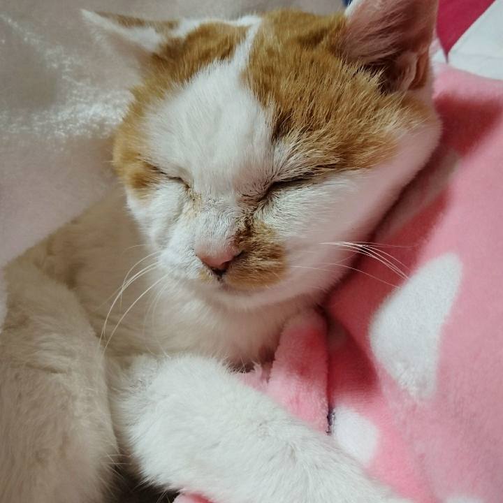 7933a0b5 9006 4a60 942b 696488704ea4 1556542355635