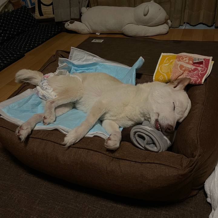 7933e8fd fc30 4897 a957 a68005e96a41 1666289298174