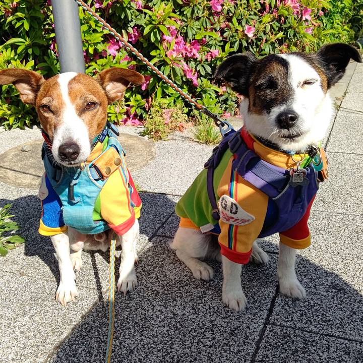 79340097 8218 4f9e 8408 ff05fb79153a 1715382397276