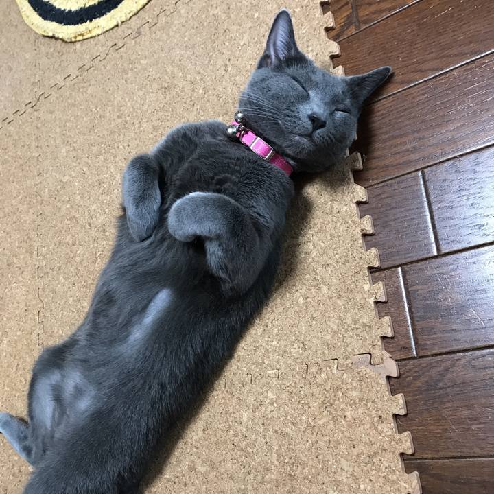 79340522 a6ff 4398 aeb9 5b80d2ca068b 1528068972198