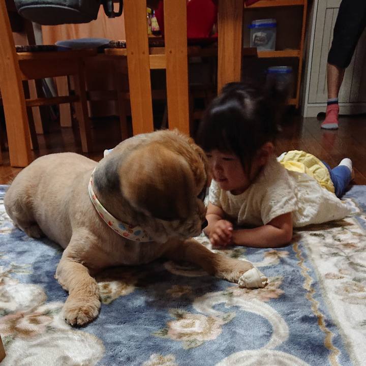 793410fe 2630 4edb 895a 6f7cd0ba1c14 1588489883500