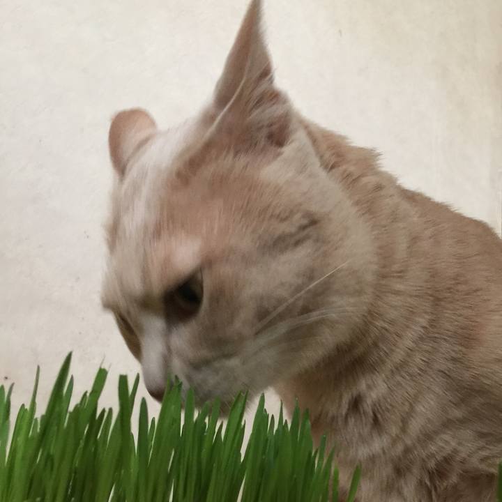 79342b98 49f9 4bb8 8d72 a22c567c73db 1529983268217