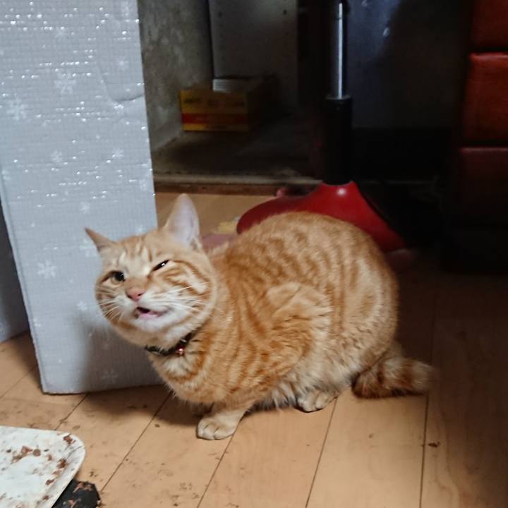 7934c6a1 84a1 4e6c a801 f9adcbfc2c33 1648503801562