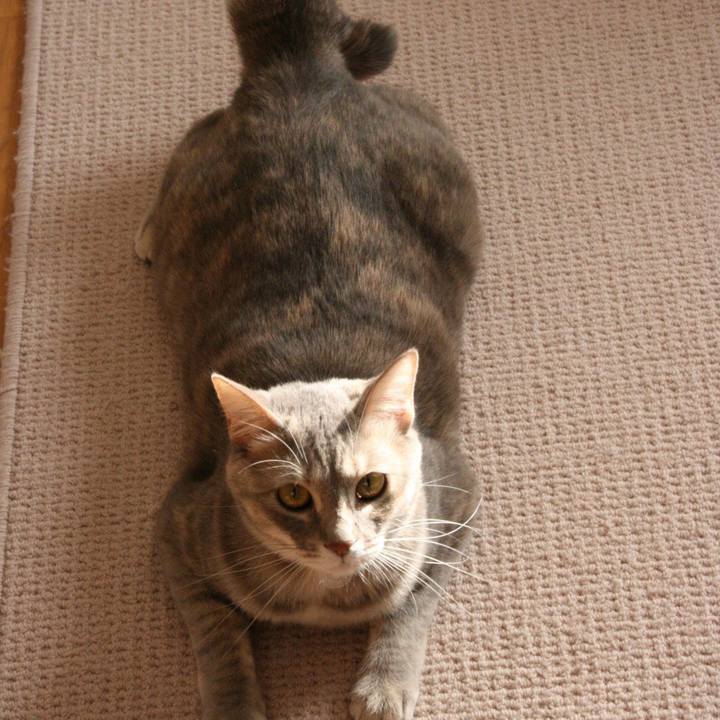 7934ce1f 3525 4987 a22e c27b928001a4 1523189508685