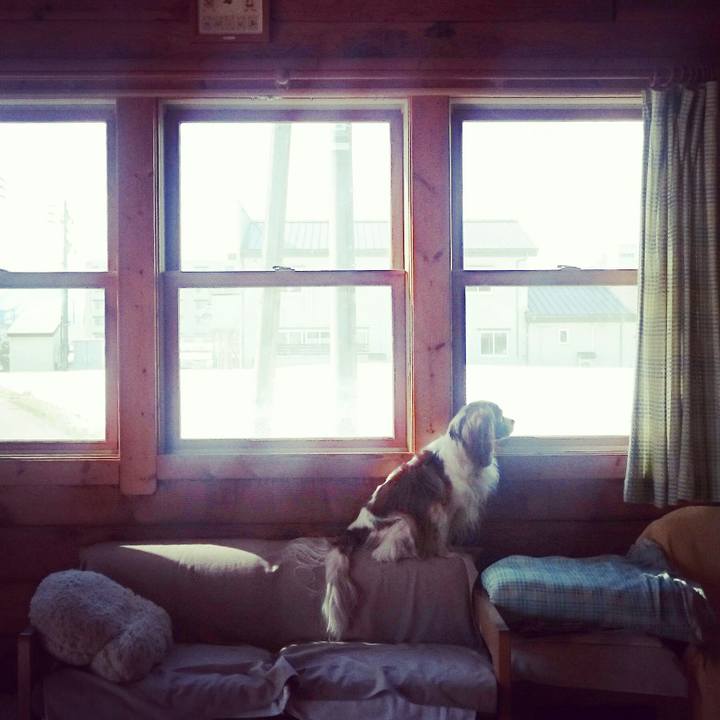 7934e135 d953 4fc6 a647 19d27854ab53 1522367916784