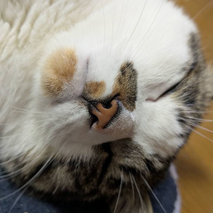 7934e2e6 3bcb 45b8 b2c2 d88d69e62ed0 1774992233947