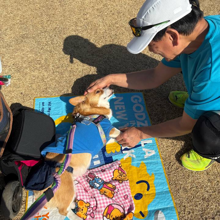 7935428b 0d7f 4e0d b212 b59850802047 1771817336469