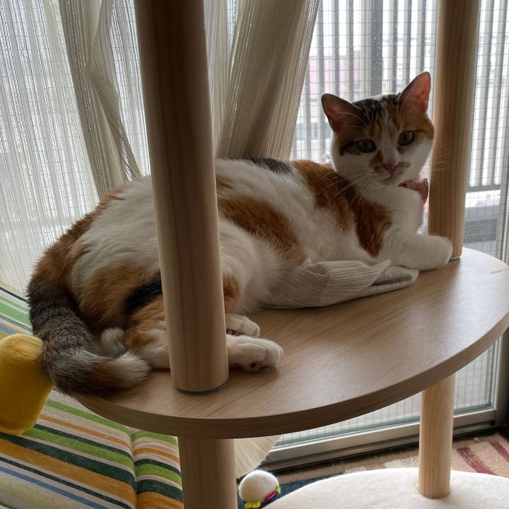 7935ab91 bc59 4292 bdc2 a7e631abe4f4 1626222903829