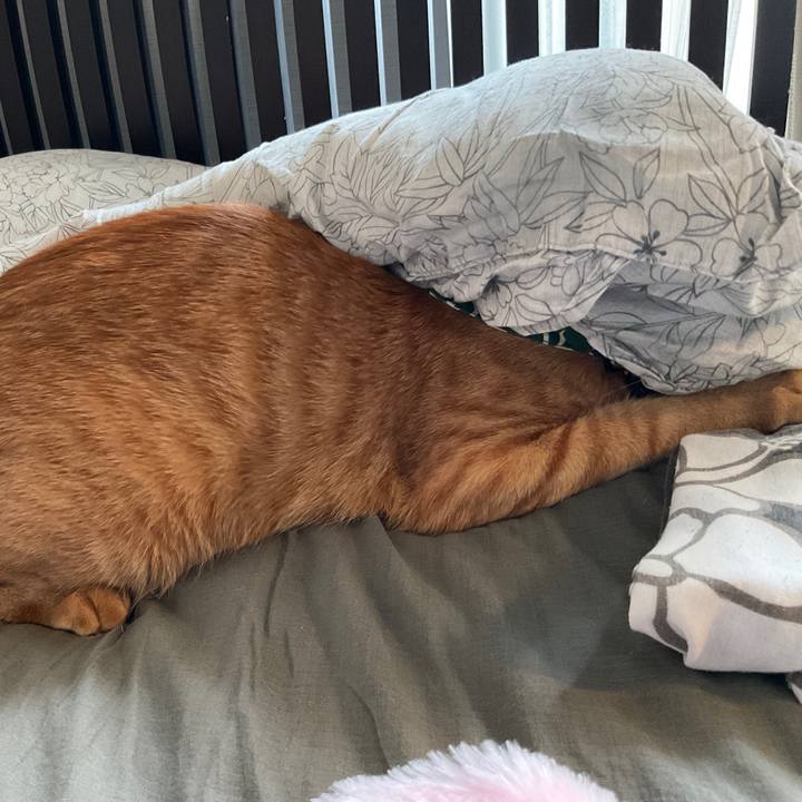 7935c632 1dea 42db b460 eafa8ca6f87c 1629971221100