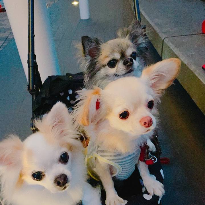 7935de1a 23e4 4283 91fd 63d422e9e3bf 1635316005697