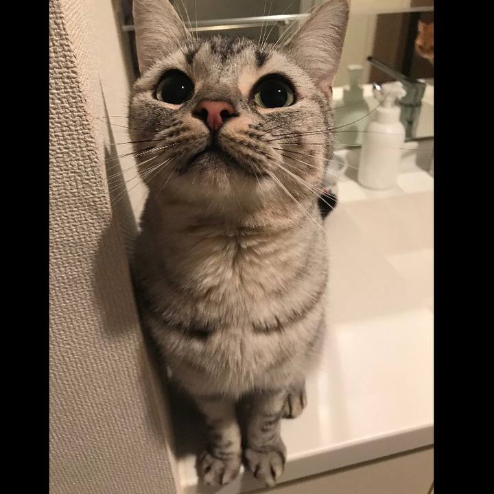 7935eb36 3203 42b2 8432 a6cc24db2fc5 1510918268262