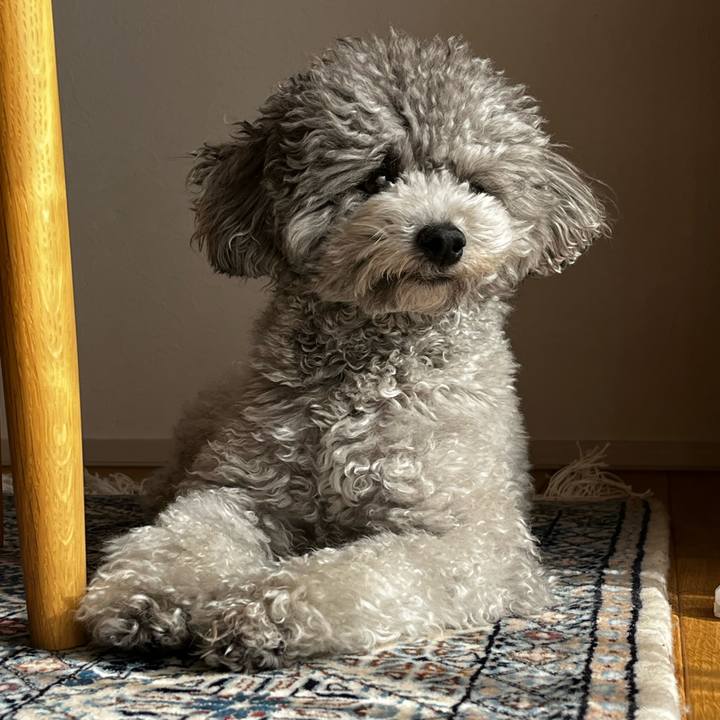 7935f38f 06a0 4b6d bfa9 8d3713a2dcb8 1768534461824