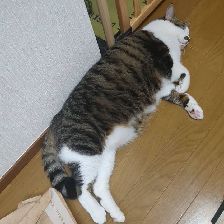 7935f84e 5a6e 47cc 8e0b 3fe9d1dad7b1 1729947563365