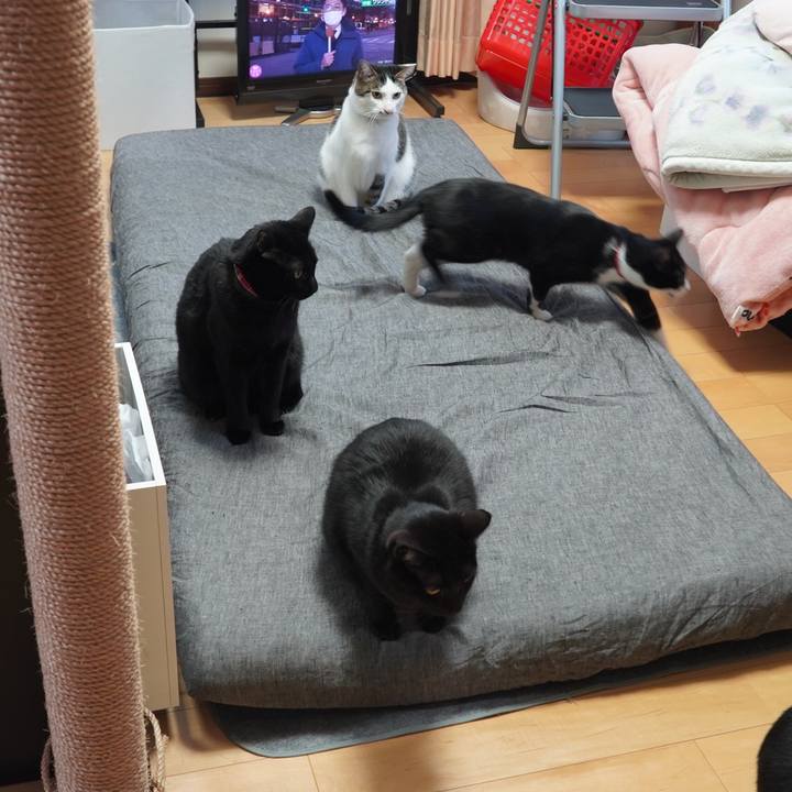 7936014e edbc 4a54 ac7c f58255e04831 1611212345027