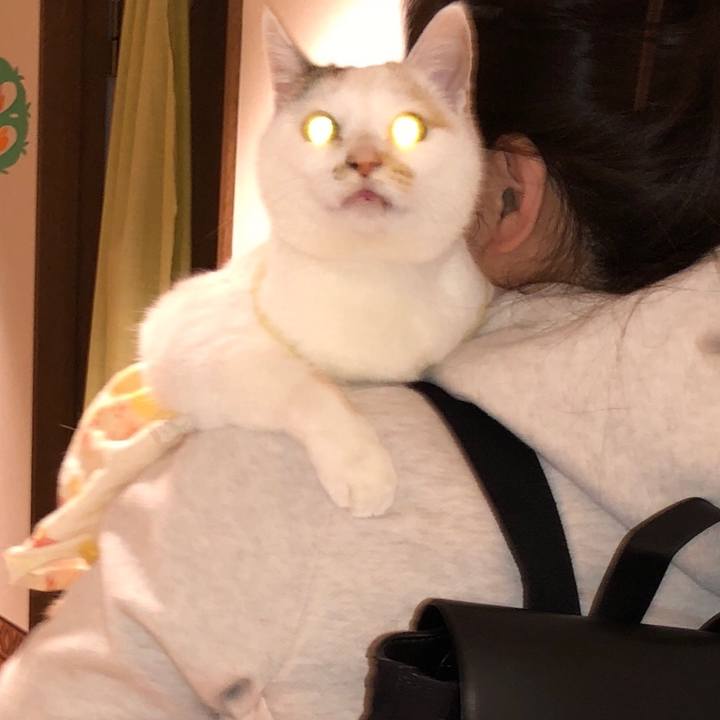 79360c9c 06c4 436f 8537 42f822e6f2fb 1519906451312