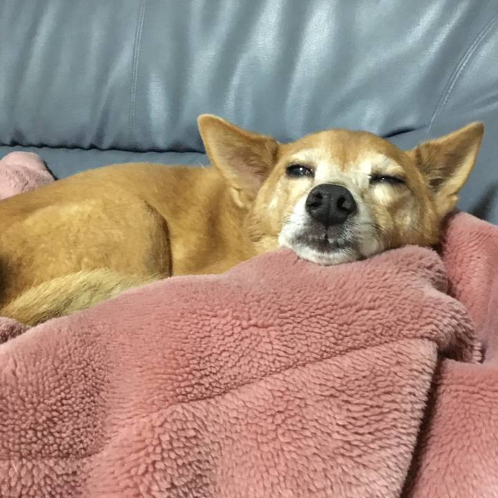 79363070 0c9d 42ae adac af1ee018922f 1508853634744