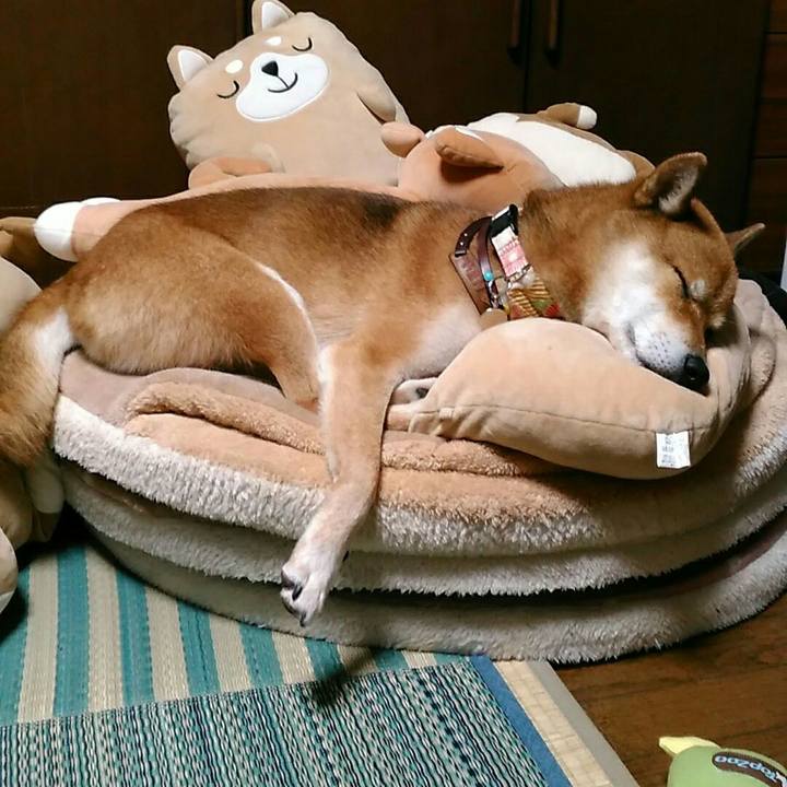 79363cf2 9446 44f6 8335 7191114238be 1539169332140