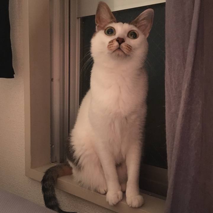 79364522 bfd8 4765 8e40 385e9e14a75f 1570767355133