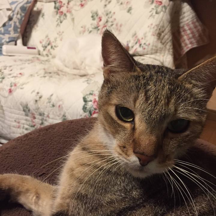 79366b57 c457 4254 beb9 a09f65533739 1569514042632