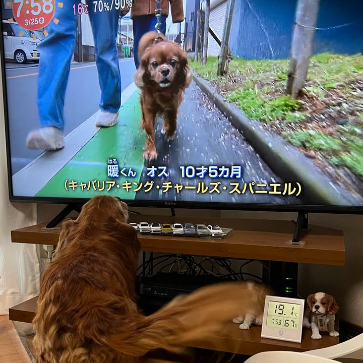 79367a3d 3857 4458 8b29 5ea428b30930 1774401074689