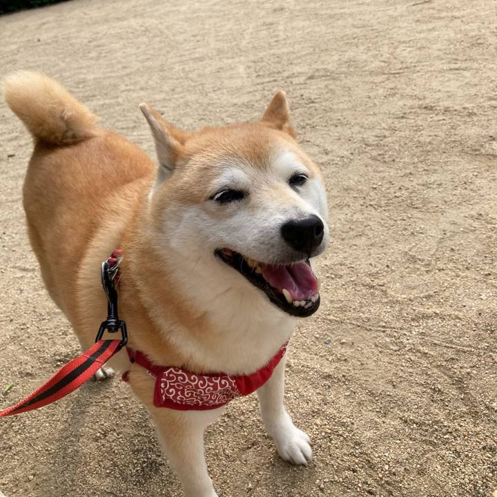 7936b6d9 d461 4ce8 90d3 6a55ed7ccdbc 1626180029570