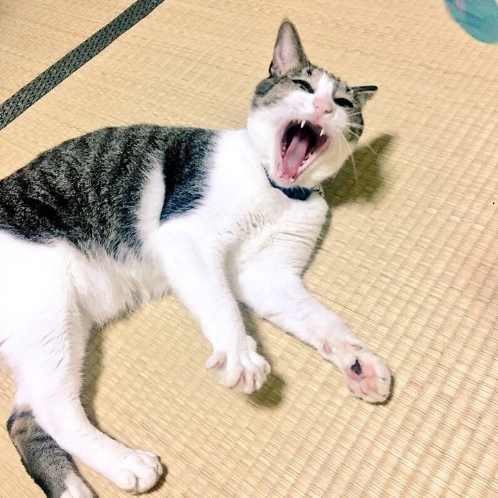 7936c326 f4ed 401f bc0b 0ee834383889 1536062803838