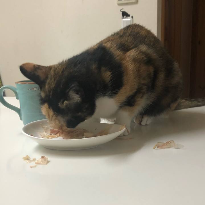 7936d9e1 52e2 4d7a 9dbb a6960b847fa5 1571894711695