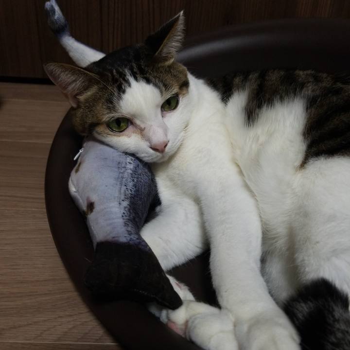 7936f80e f526 4340 8036 b1e8ffd17f36 1577184792372