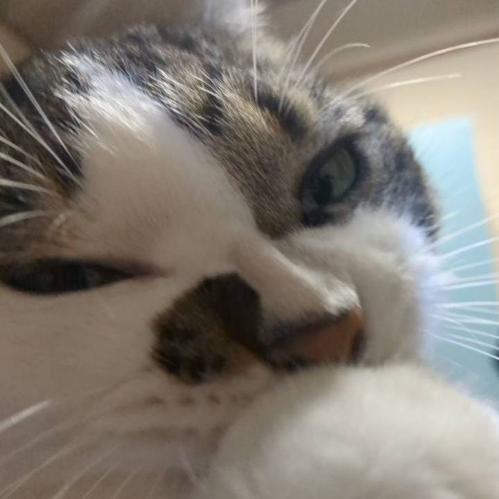 79370584 aa0b 4f0c a712 11c1f61677b8 1755745035794