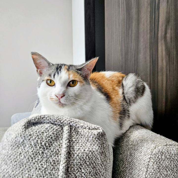 79372216 9f57 4bd3 b910 933d56ad5121 1753605952987