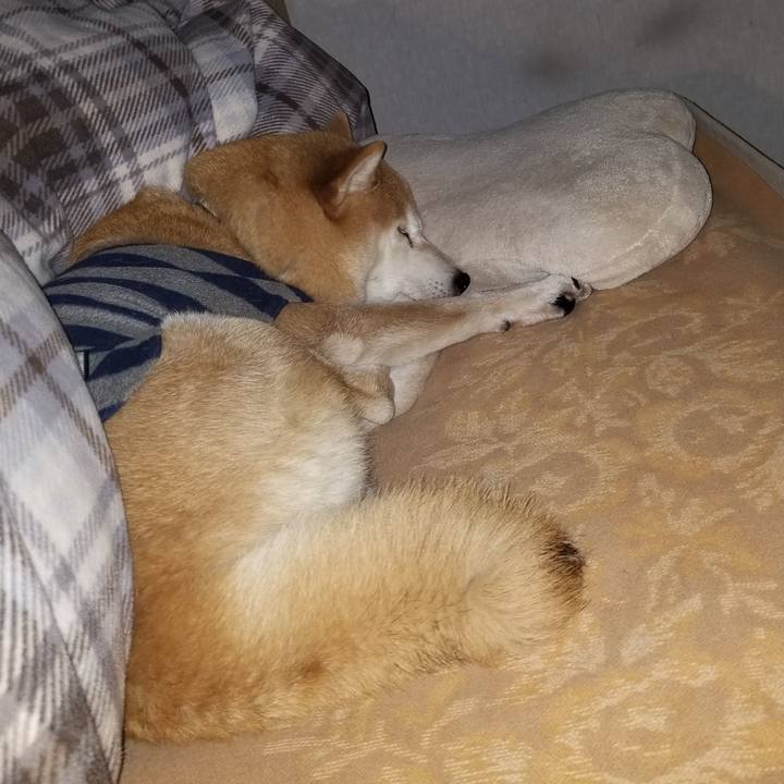 79372954 d3ca 45c1 9137 145ad0745205 1611932792838