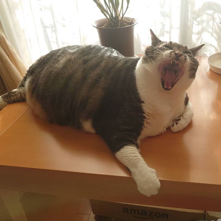 79375de7 436a 4cc3 8e7b 358684345d28 1585095167410