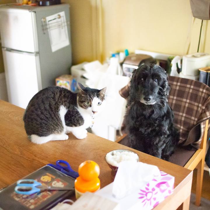 793772bc 7aa0 45ef bde7 b20cd60db502 1611630639471