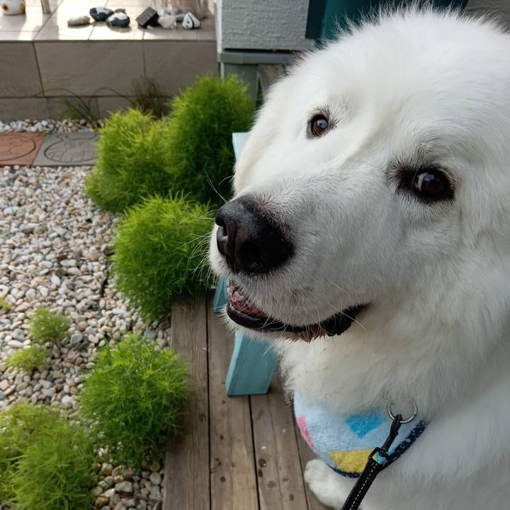 793775d0 41a7 4d02 9ab6 68a653d4d36b 1717369188277