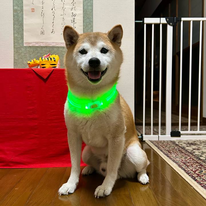 79377c82 3a0c 4f73 b75b 60e12be204f3 1727522752587