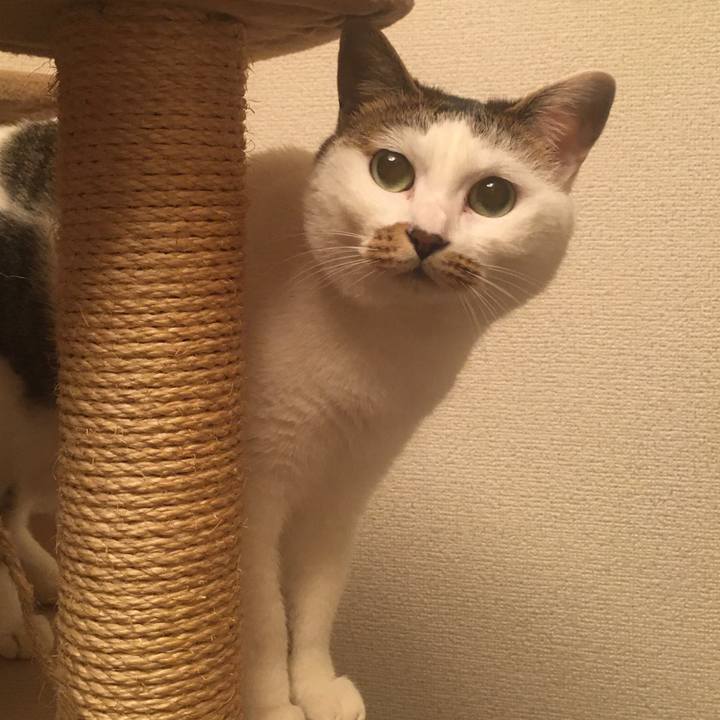 7937a30d 14ae 4284 bf26 de0e9ea7b056 1614582939577