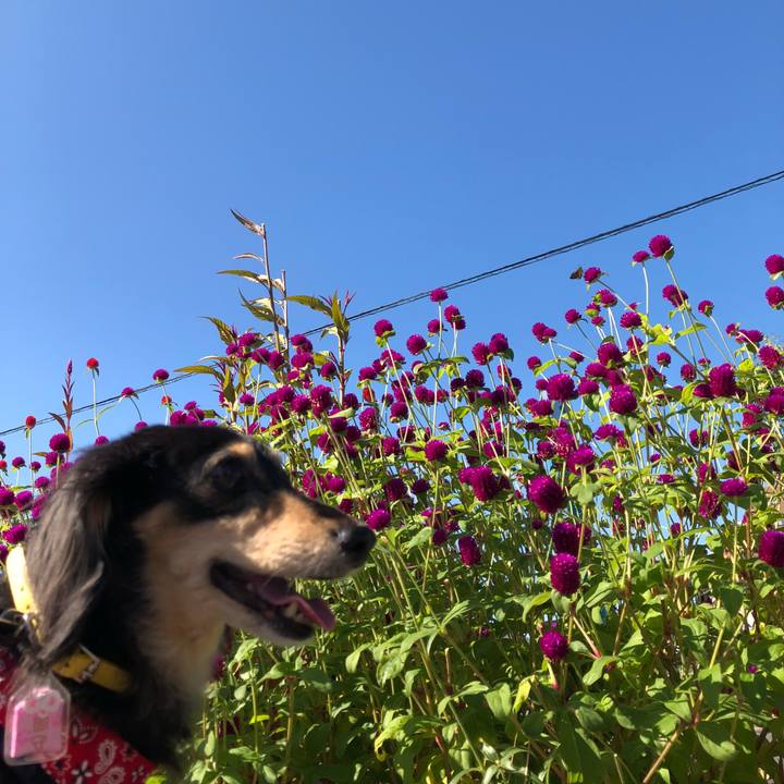 7937edf2 96b1 44d0 98aa 2eb1f6172e1d 1601253311573