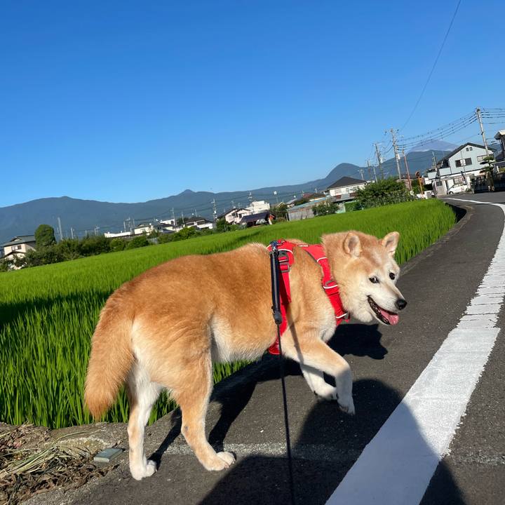 7937fe67 b14f 4312 8e5b 9968d9305966 1658575977777