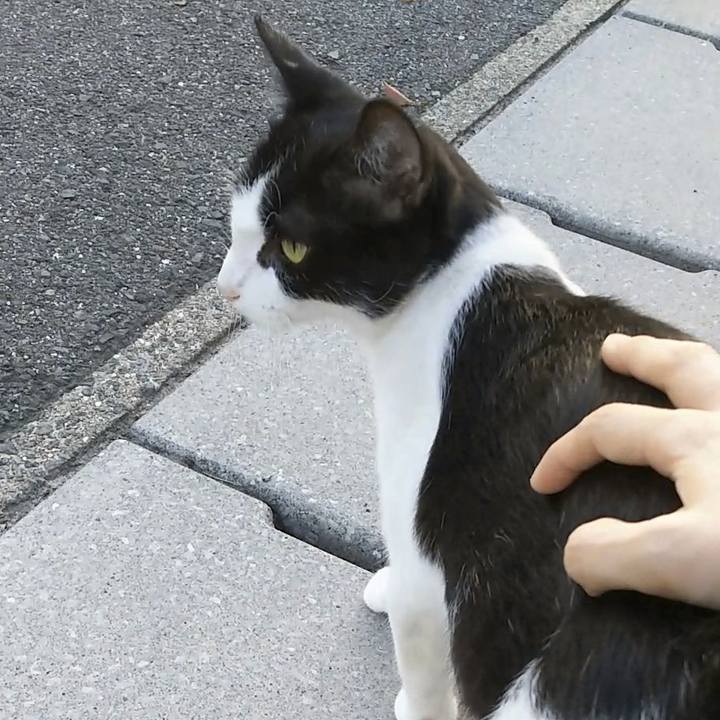 79383049 6ec3 4c6a b359 96db9a37638f 1535190804904