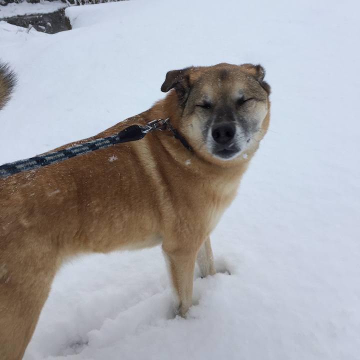 7938bd80 ece6 4929 91ac 4f01600fd4bd 1517012554752