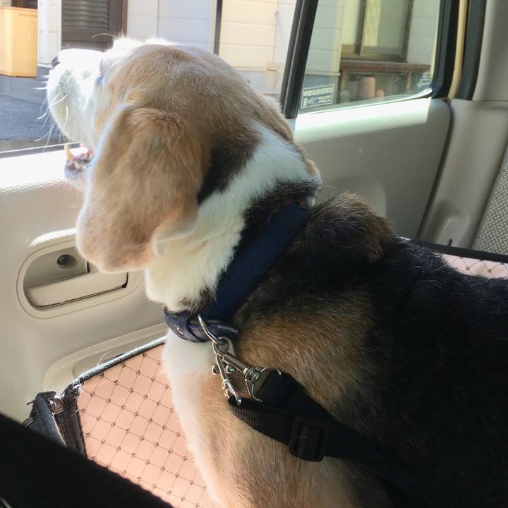 7938d958 145a 43c2 a1a6 984ab3454199 1565065632289