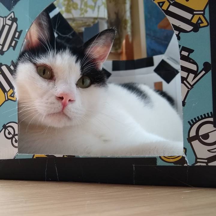 7938f6b9 e029 49d6 8028 42607646d4a1 1561159579788