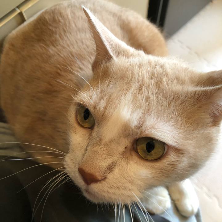 79394187 7661 47d7 aba4 8e683634be35 1607123763756