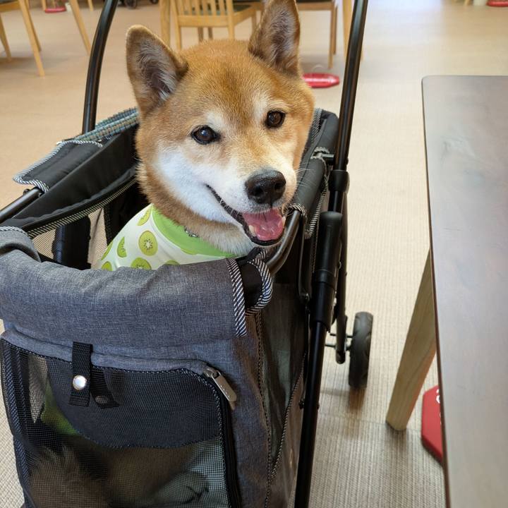 79394251 f146 4677 895d 38ec2101d94c 1752064374142